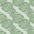 Pale tones seamless pattern with light green monstera ornament. Grey background