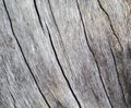 Pale wooden table image with weathered crack lines Royalty Free Stock Photo