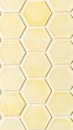 Yellow Cream Hexagonal Tiles Seamless Pattern. Royalty Free Stock Photo
