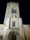 Palencia cathedral Royalty Free Stock Photo