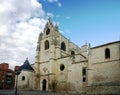 Palencia Cathedral 3 Royalty Free Stock Photo