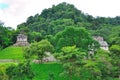 Palenque Ancient Maya Ruins, Mexico Royalty Free Stock Photo