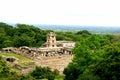 Palenque ancient maya temples, Mexico Royalty Free Stock Photo