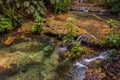 Palenque, Chiapas, Mexico. Mountain stream in green forest Royalty Free Stock Photo