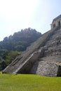 Palenque - mexico