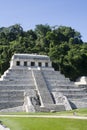 Palenque - mexico