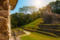 Palenque, Chiapas, Mexico: Huge ancient pyramid with steps in the archaeological complex. Royalty Free Stock Photo