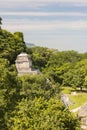 Mayan Temple Ruins Palenque