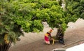 Palenquera in columbian city of Cartagena with the basket of fruits on her head