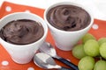 Paleo Chocolate Avocado Pudding