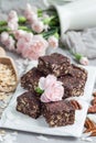 Paleo chocolate energy bars with rolled oats, pecan nuts, dates, chia seeds and coconut flakes Royalty Free Stock Photo