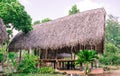 Paleolithic thatched huts