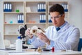 The paleontologist looking at extinct animal bone Royalty Free Stock Photo