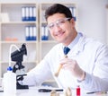 Paleontologist looking at extinct animal bone