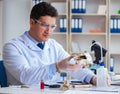 Paleontologist looking at extinct animal bone Royalty Free Stock Photo