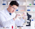 Paleontologist looking at extinct animal bone