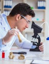 Paleontologist looking at extinct animal bone Royalty Free Stock Photo