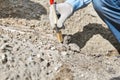 Paleontologist`s hand with brush cleansing fossil bone from sand Royalty Free Stock Photo