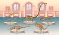 Paleontology museum hall with dinosaur skeletons. Big set of dinosaur skeletons. Archeology exhibition.Vector illustration Royalty Free Stock Photo