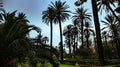 Public garden Villa Giulia in Palermo, Sicily, Italy Royalty Free Stock Photo