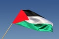 Palestinain Flag Waves in the Wind