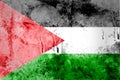 Palestine Flag