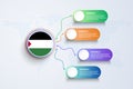 Palestine Flag with Infographic Design isolated on Dot World map