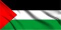 Palestine Flag