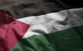 Palestine Flag Rumpled Close Up