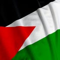 Palestinean Flag Closeup