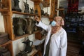 Palestinian cleans artifacts at the museum, while the Ministry of Tourism announced the closure of tourist places due to the outbr