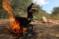 Palestinian family pluck olives from trees harvesting them whereupon he will extract from them olive oil during the annual harvest