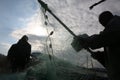 Palestinian fishermen on the Khan Younis Sea