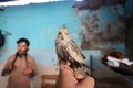 Palestinian man, loves to raise dangerous snakes and hawks at his home