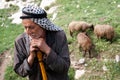 Palestinian shepherd