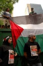 Palestinian Supporters