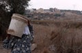 Palestinian women harvesting olives, Palestine