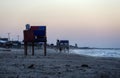 Palestinians enjoy themselves on the beach during sunset, in Gaza Strip