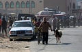 Palestinians muslims across the world start to buy cattle to be slaughtered for Eid al-Adha or Feast of the Sacrifice, in Gaza Str