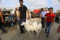 Palestinians muslims across the world start to buy cattle to be slaughtered for Eid al-Adha or Feast of the Sacrifice, in Gaza Str