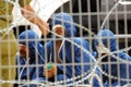 Palestinians prisoners Royalty Free Stock Photo