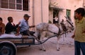 Palestinians riding on a donkey cart, Palestine Royalty Free Stock Photo