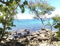 Palet sea trees leaves stone mountain Royalty Free Stock Photo