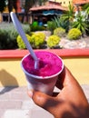 Paleta on a hot day in san miguel allende mexico with plants in background Royalty Free Stock Photo