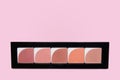 Palette with blush and highlighter of five colors for makeup Royalty Free Stock Photo