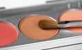 Palette of brown and terracotta eye shadow and makeup brush Royalty Free Stock Photo