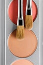 Palette of brown and terracotta eye shadow and makeup brush, top view Royalty Free Stock Photo