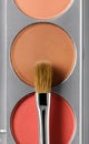 Palette of brown and terracotta eye shadow and makeup brush, top view Royalty Free Stock Photo