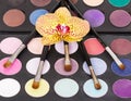 Palette of colorful eye shadow, cosmetic brushes and orchid flower. Royalty Free Stock Photo