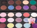 Palette colorful eye shadow with orchid flower on black background. Royalty Free Stock Photo